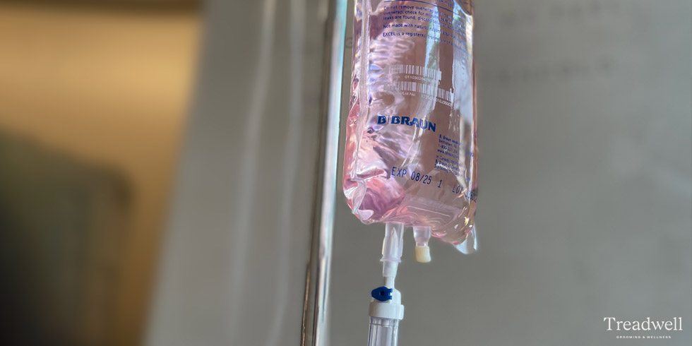 IV drip therapy for allergies